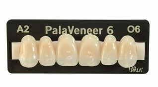 Kulzer Zahnlinie PalaVeneer | 83673