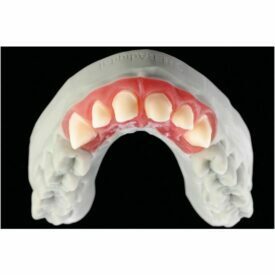 SHERAprint-gingiva SHERAprint-gingiva