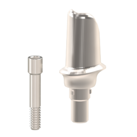 Individuelles Abutment für Camlog® Individuelles Abutment für Camlog®