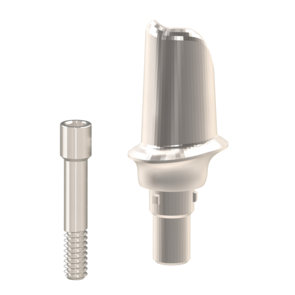 Individuelles Abutment für Camlog® | 106171