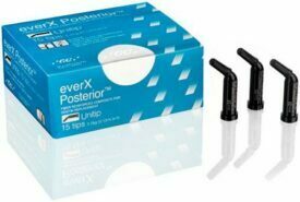 GC everX Posterior GC everX Posterior