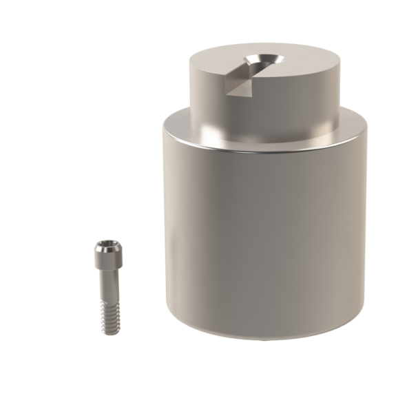 Pre-Mill Abutment für Nobel Biocare® | 113114