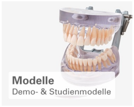 MORITA Webshop – Demo & Studienmodelle MORITA Webshop – Demo & Studienmodelle
