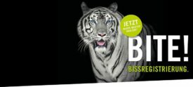 AKTION Kulzer Flexitime Bite AKTION Kulzer Flexitime Bite