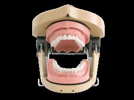 KaVo dentale Kiefersimulatoren KaVo dentale Kiefersimulatoren