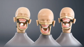 KaVo dentaler Patientensimulator KaVo dentaler Patientensimulator