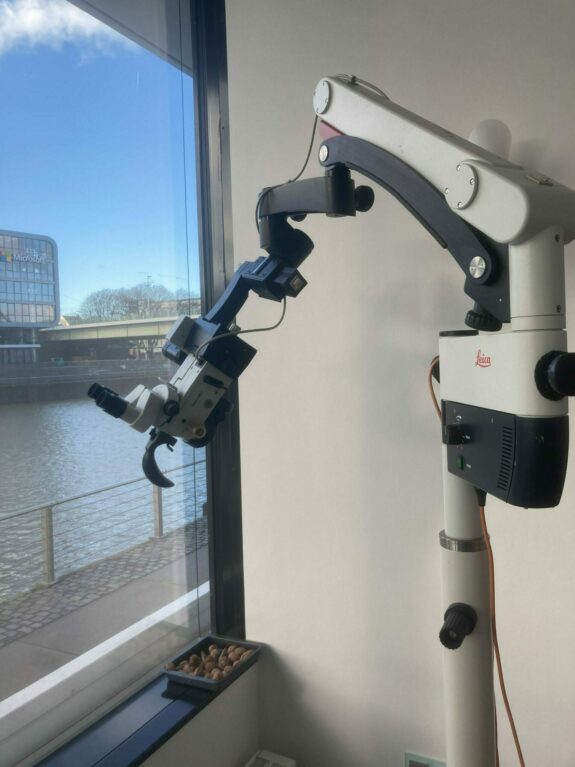 HNO  OP-Mikroskop Leica M 400-E | 182905
