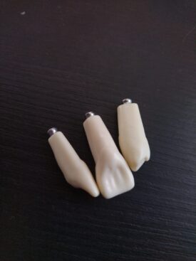 Übung Zähne Übung Zähne