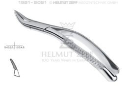 TOMES, ZAHNZANGE, AMER. FORM, FIG. 69, OBERE & UNTERE WURZELN  TOMES, ZAHNZANGE, AMER. FORM, FIG. 69, OBERE & UNTERE WURZELN