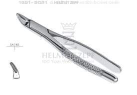 HULL, ZAHNZANGE, AMER. FORM, FIG. 101, MILCHZÄHNE  HULL, ZAHNZANGE, AMER. FORM, FIG. 101, MILCHZÄHNE