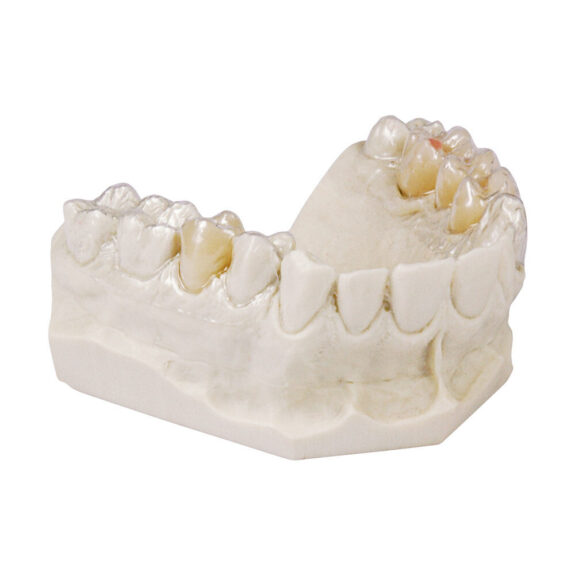 Drufolen H 0,60x42mm natur 150St | 213748