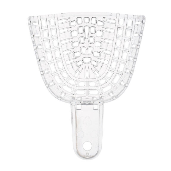 President Tray medium OK Gr.3 Dtz | 251103