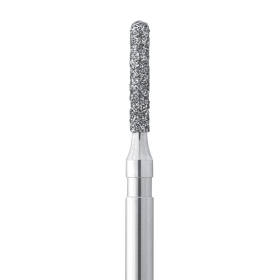 Intensiv Diamant FG 305S 010  6St | 287693