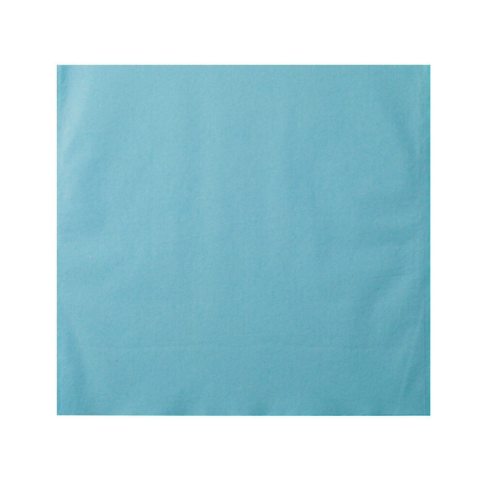 Kopfschutztaschen Monoart blau 250St | 257192 Kopfschutztaschen Monoart blau 250St | 257192