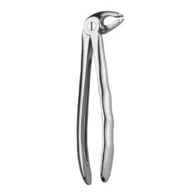 Zahnzange L.S. UK Schneide+ Eckzähne  St Zahnzange L.S. UK Schneide+ Eckzähne  St