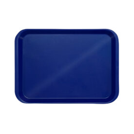 Behandlungstray o. Eint. dblau St Behandlungstray o. Eint. dblau St