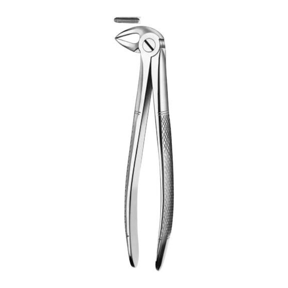 Zahnzange 33A Handform UK Wurzeln  St | 304141