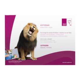 Kofferdam Leitfaden St Kofferdam Leitfaden St