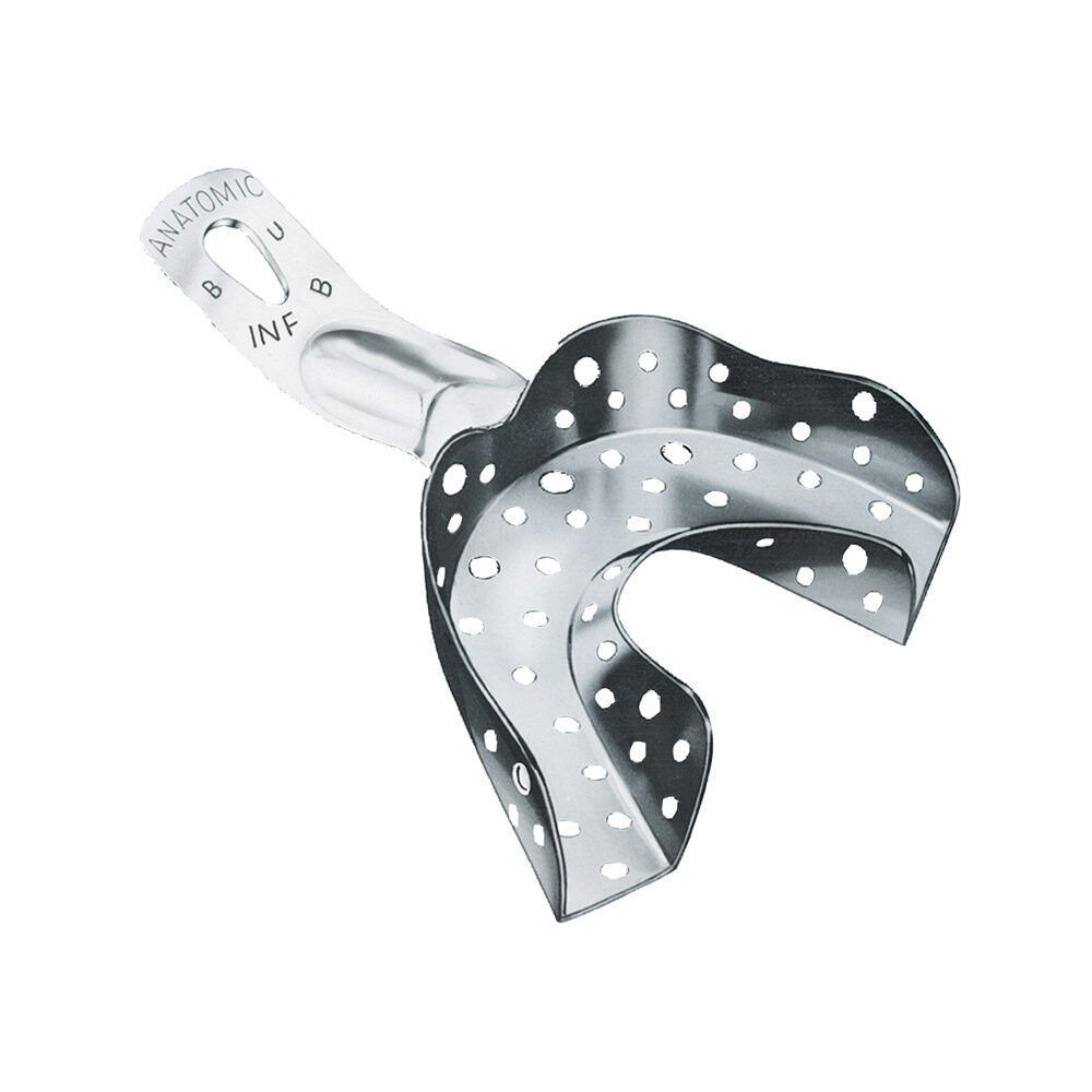 Abdrucklö. Anatomic gelocht BU-4 St | 304355 Abdrucklö. Anatomic gelocht BU-4 St | 304355