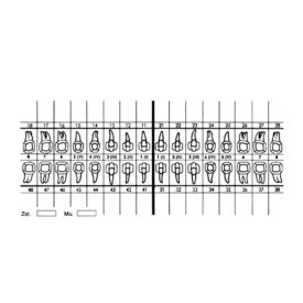 Zahnschema weiß SK 100St Zahnschema weiß SK 100St