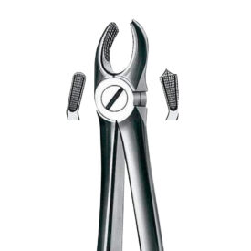 Zahnzange 17 OK rechts Molaren  St Zahnzange 17 OK rechts Molaren  St