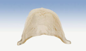 Crown Butler S-U St Crown Butler S-U St