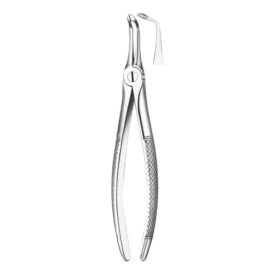 Zahnzange 146 UK Wurzeln  St Zahnzange 146 UK Wurzeln  St