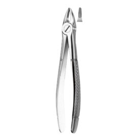 Zahnzange 29K OK FZ + Wurzel Kind  St Zahnzange 29K OK FZ + Wurzel Kind  St