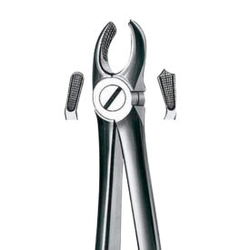 Zahnzange E17 OK Molaren rechts St Zahnzange E17 OK Molaren rechts St