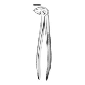 Zahnzange E33A UK Wurzeln St Zahnzange E33A UK Wurzeln St