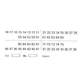 01-Befund weiß selbstklebend 100St 01-Befund weiß selbstklebend 100St