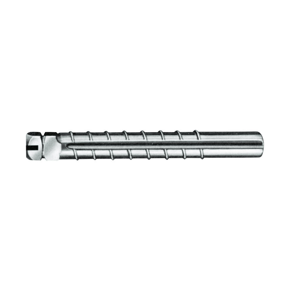RS-Wurzelstifte Nr 100/1 Titan Pa | 300253 RS-Wurzelstifte Nr 100/1 Titan Pa | 300253