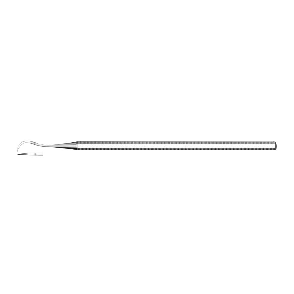Zahnreiniger 1000/70 St | 301038 Zahnreiniger 1000/70 St | 301038
