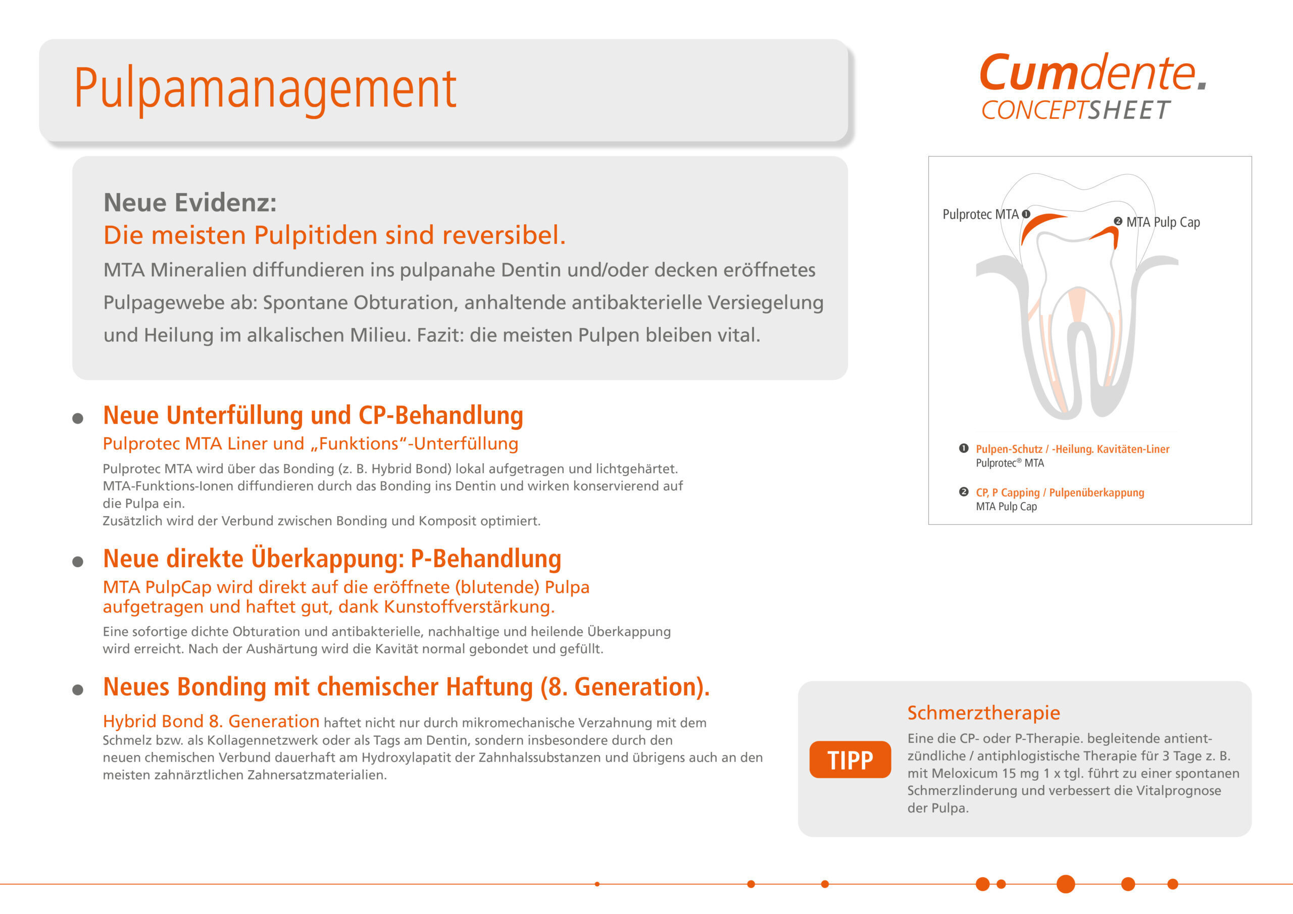 Cumdente Pulprotec MTA | 410087