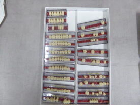 Vita Physiodens Vita Physiodens