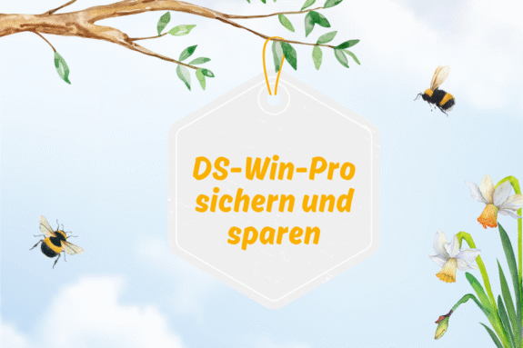 Upgrade-Aktion 2025 von Dampsoft | 324084