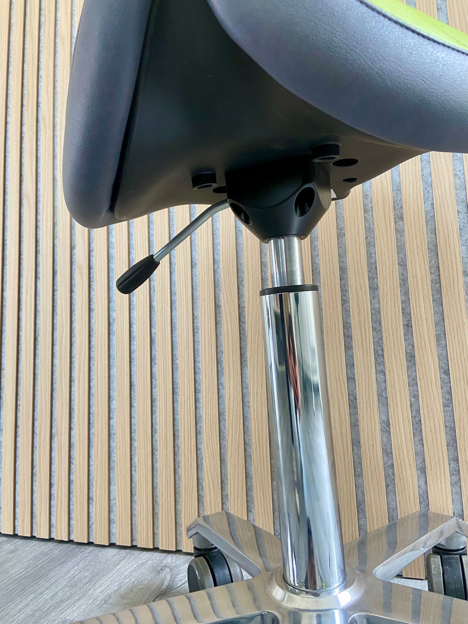 Score Harry Hocker Amazone Bicolor | 325385