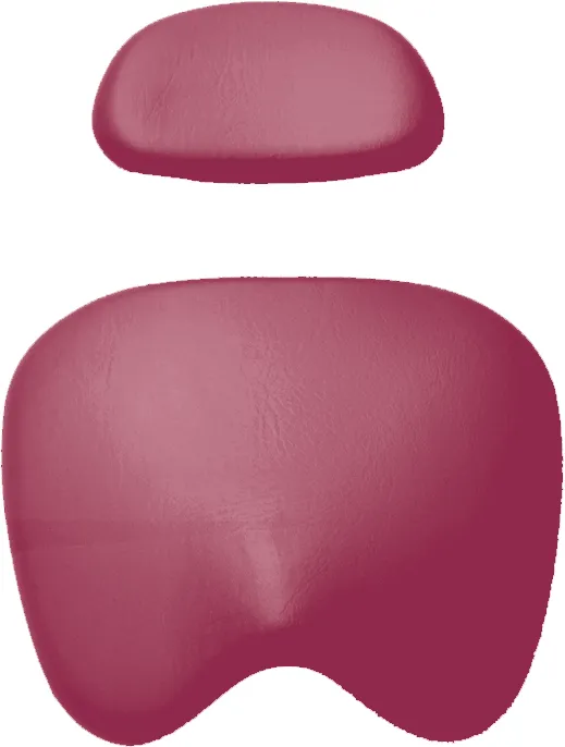 Polsterset KaVo Physio 5005 Arbeitsstuhl-KaVo Wunschfarbe | 331157 Polsterset KaVo Physio 5005 Arbeitsstuhl-KaVo Wunschfarbe | 331157