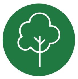 Austauschaktion Baumpflanzung Austauschaktion Baumpflanzung