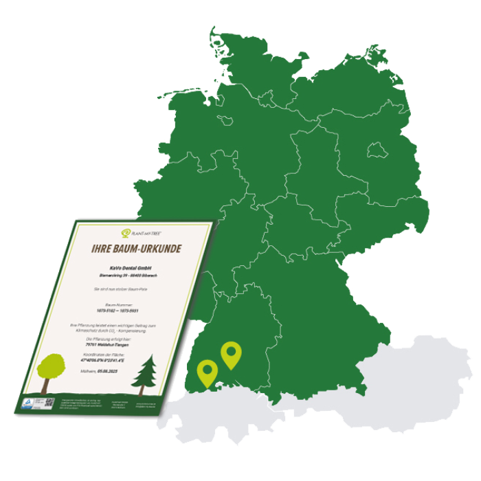 Austauschaktion Baumpflanzung | 332431 Austauschaktion Baumpflanzung | 332431
