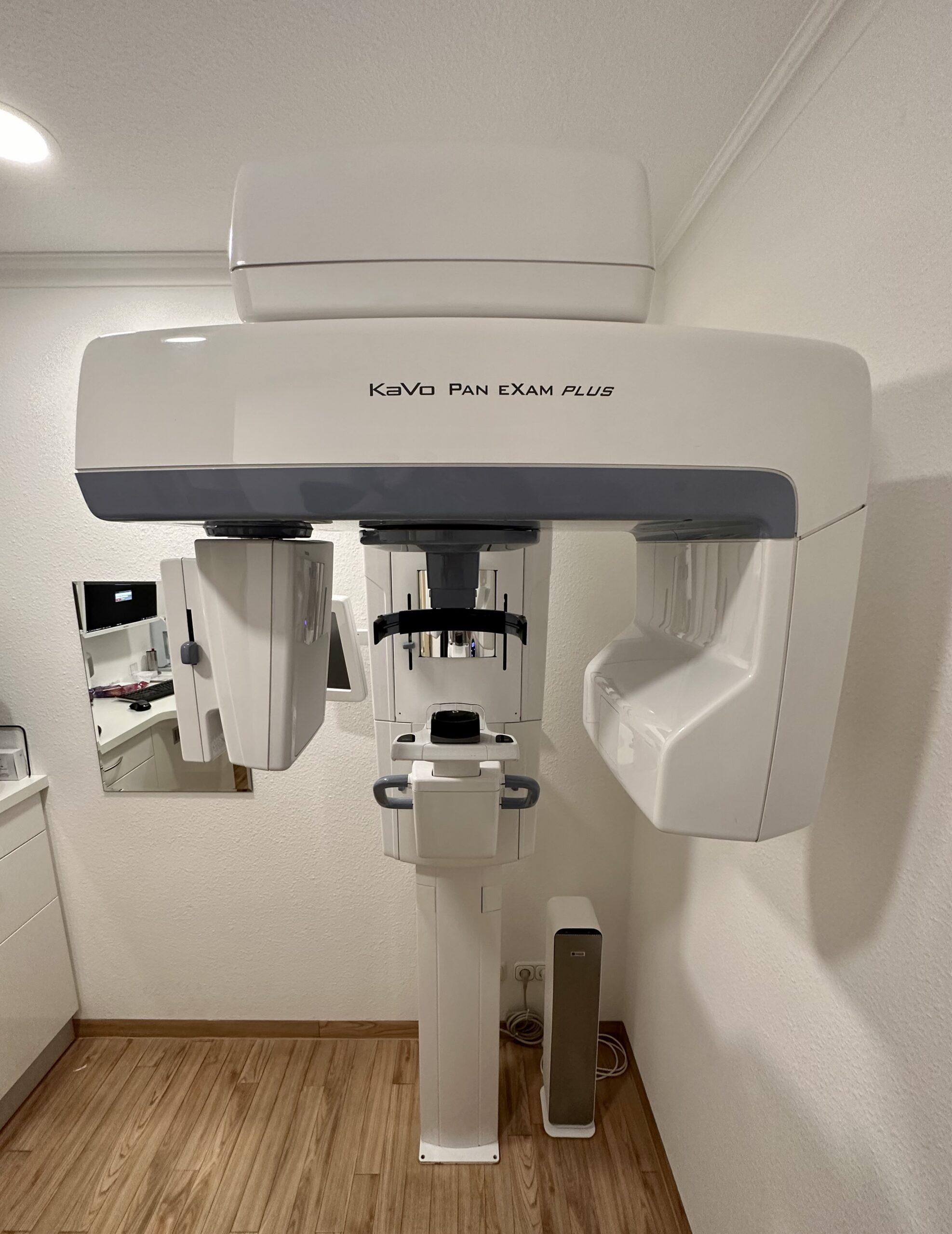 Panexamplus | 332995 Panexamplus | 332995