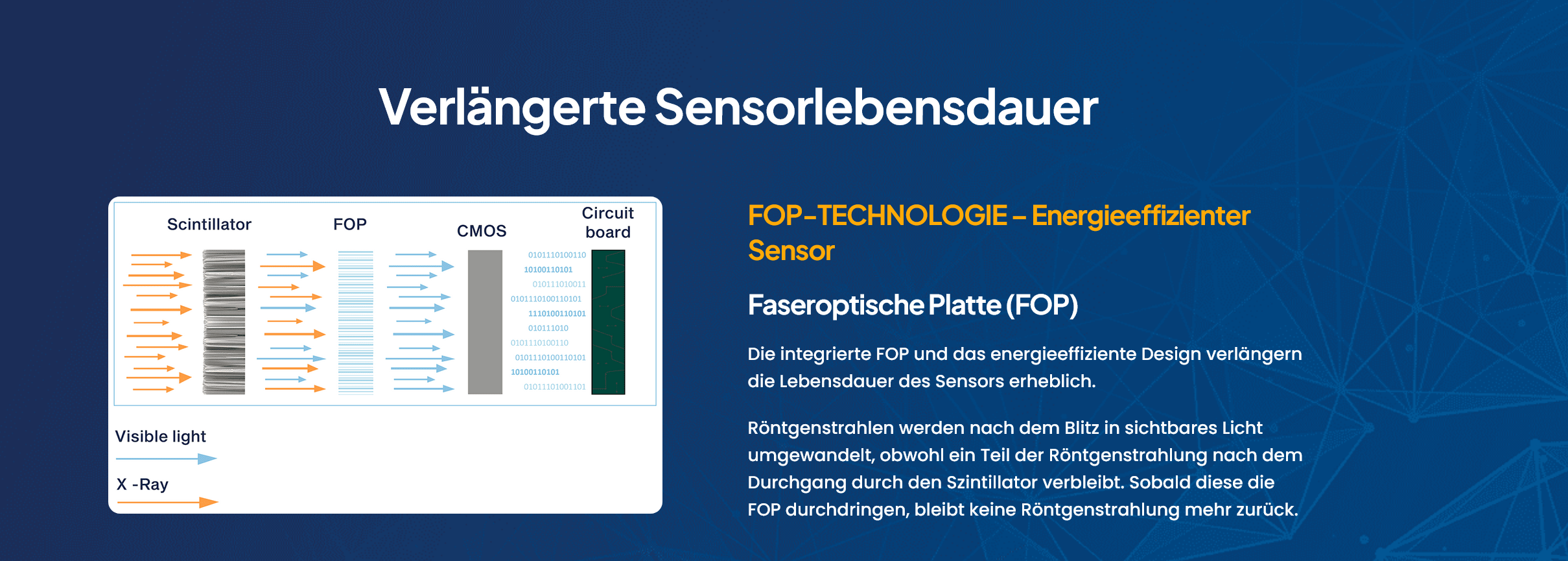 Owandy Opteo Digitaler Röntgensensor  von Größe #1 22 x 30  oder #1.5 24 x 33 mm oder #2 26 x 35 über Twain für Sidexis, Dürr,  Kavo Cliniview DTX  usw | 333852