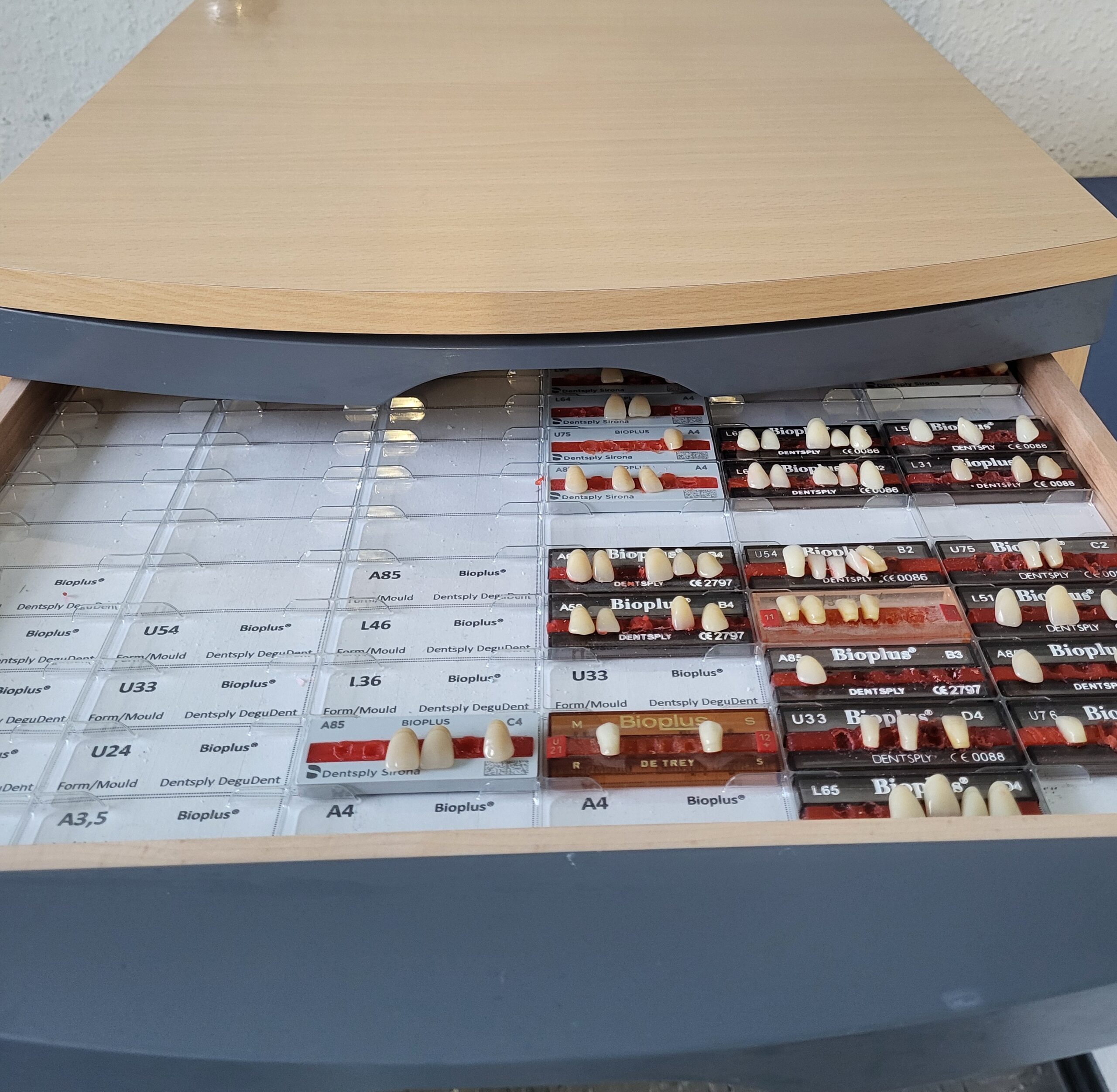 Dentsply Zahnschrank (Ohne Zähne) | 333238 Dentsply Zahnschrank (Ohne Zähne) | 333238