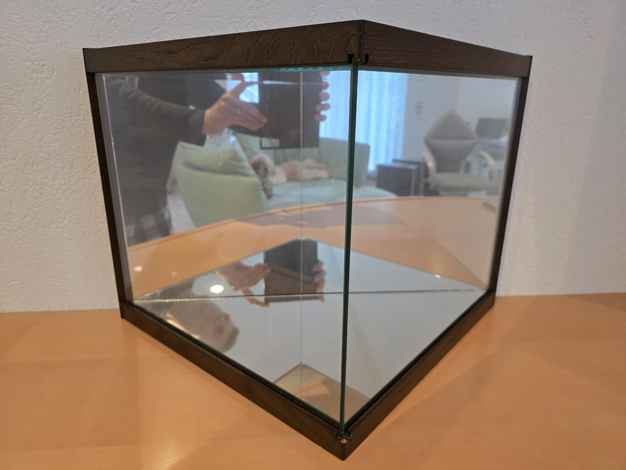 Design-Vitrine PRISMA: dunkler Nussabum, innen verspiegelt | 337839
