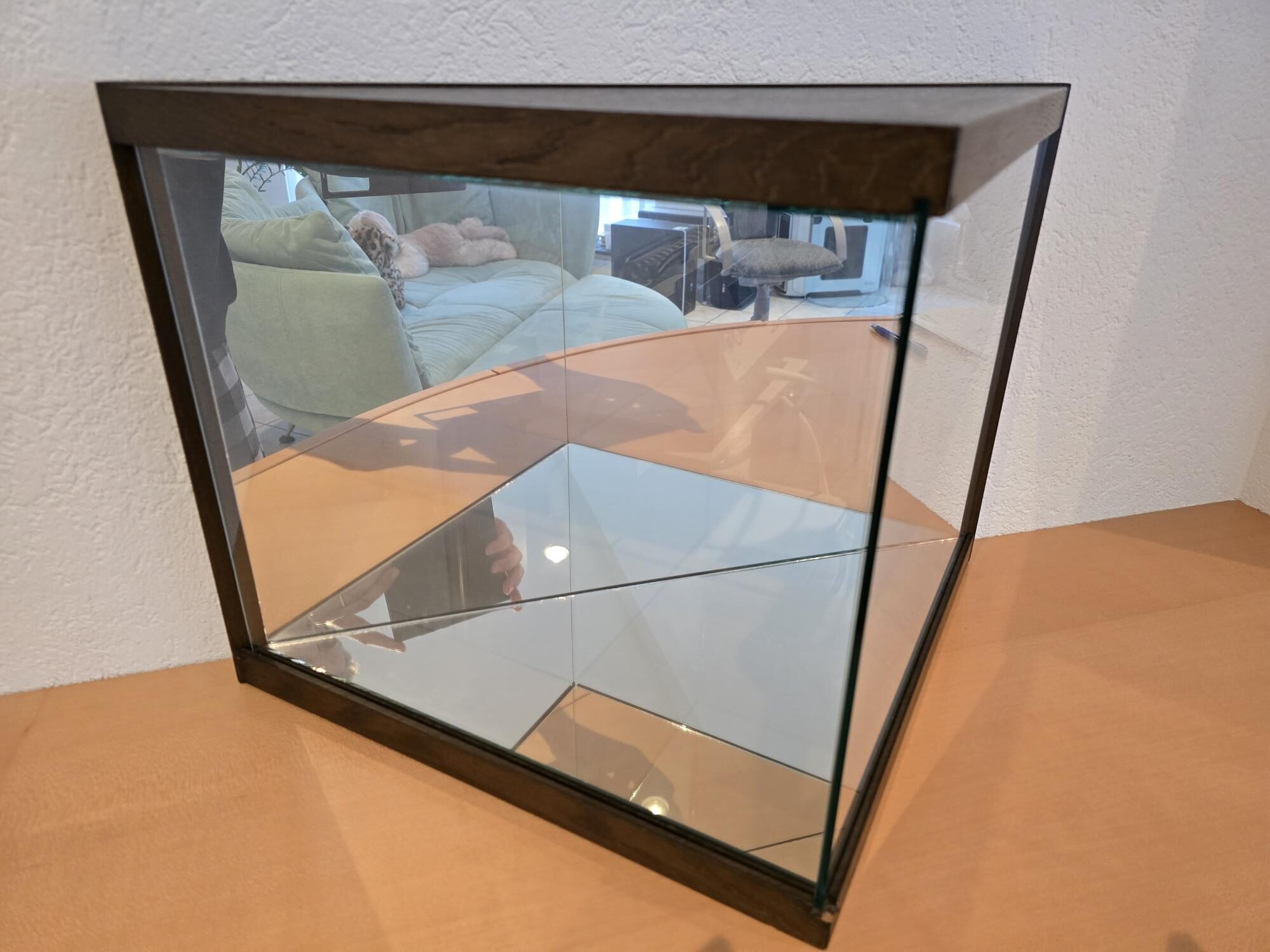 Design-Vitrine PRISMA: dunkler Nussabum, innen verspiegelt | 337842