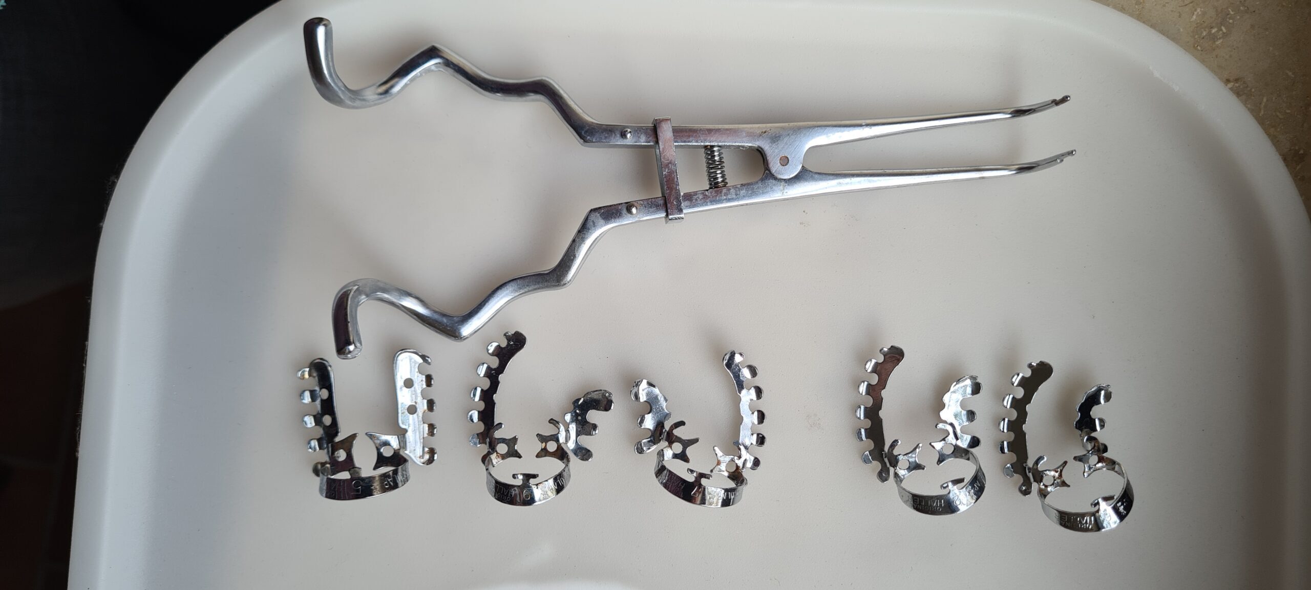 5 Original Hallerklammer Edelstahl/ Dental/ mit Zange | 338612