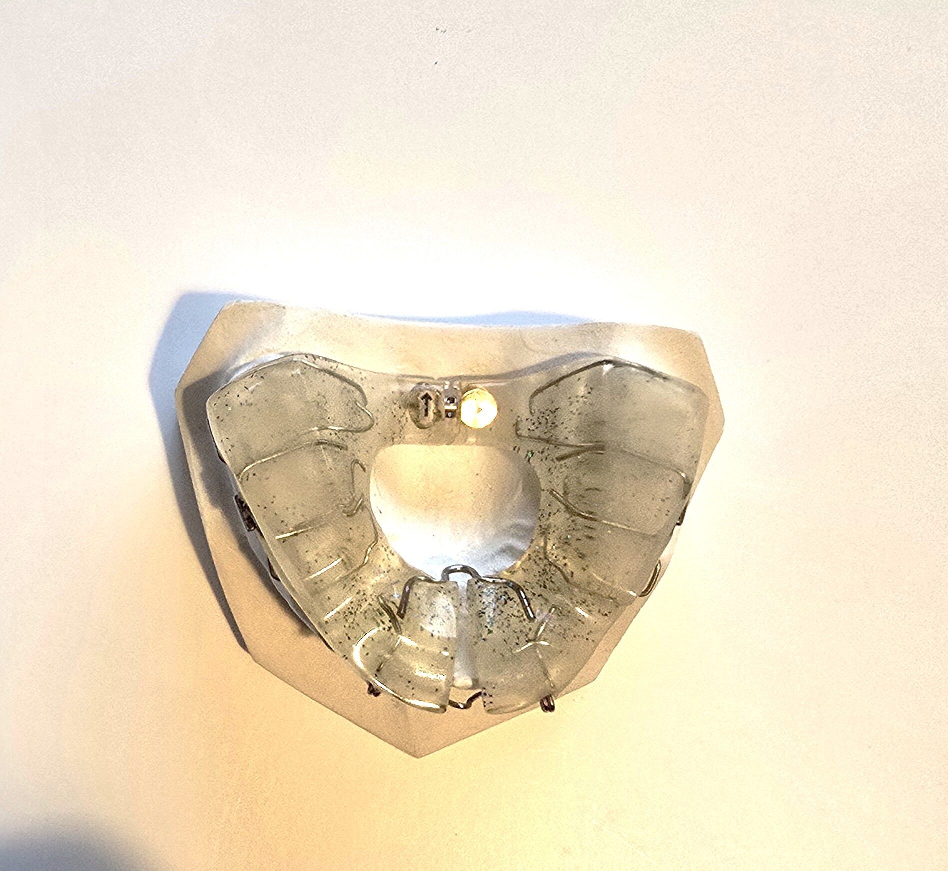 Demonstrationsmodell Kieferorthopädie OK Dehnplatte NEU | 338740