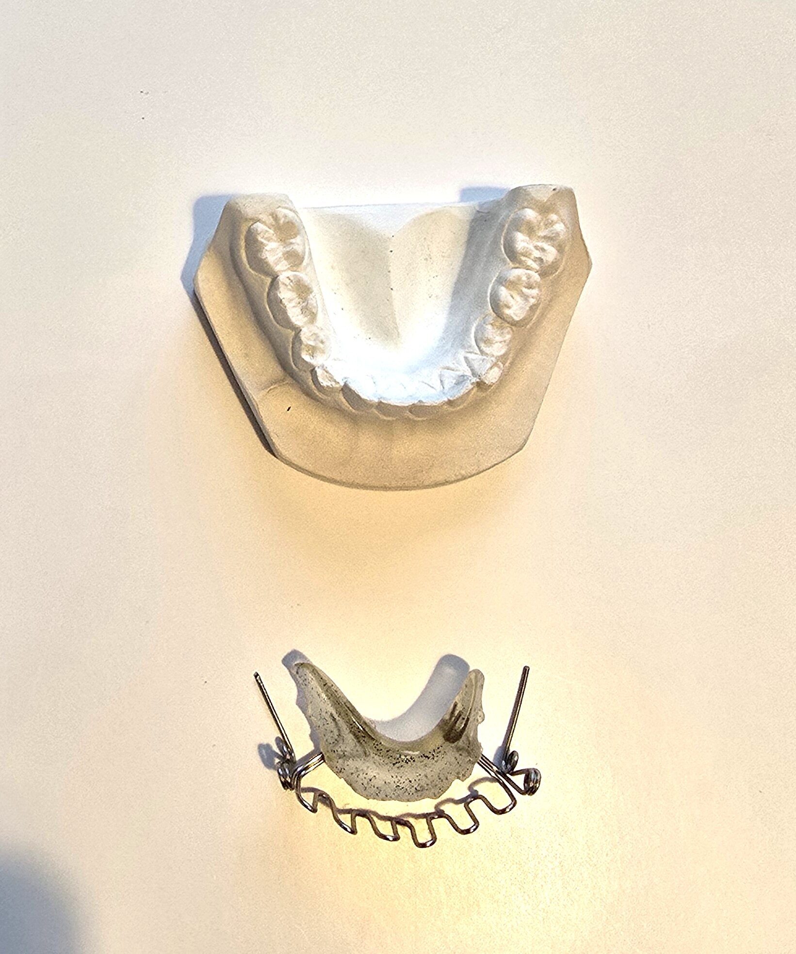 Demonstrationsmodell Kieferorthopädie UK NEU | 338746