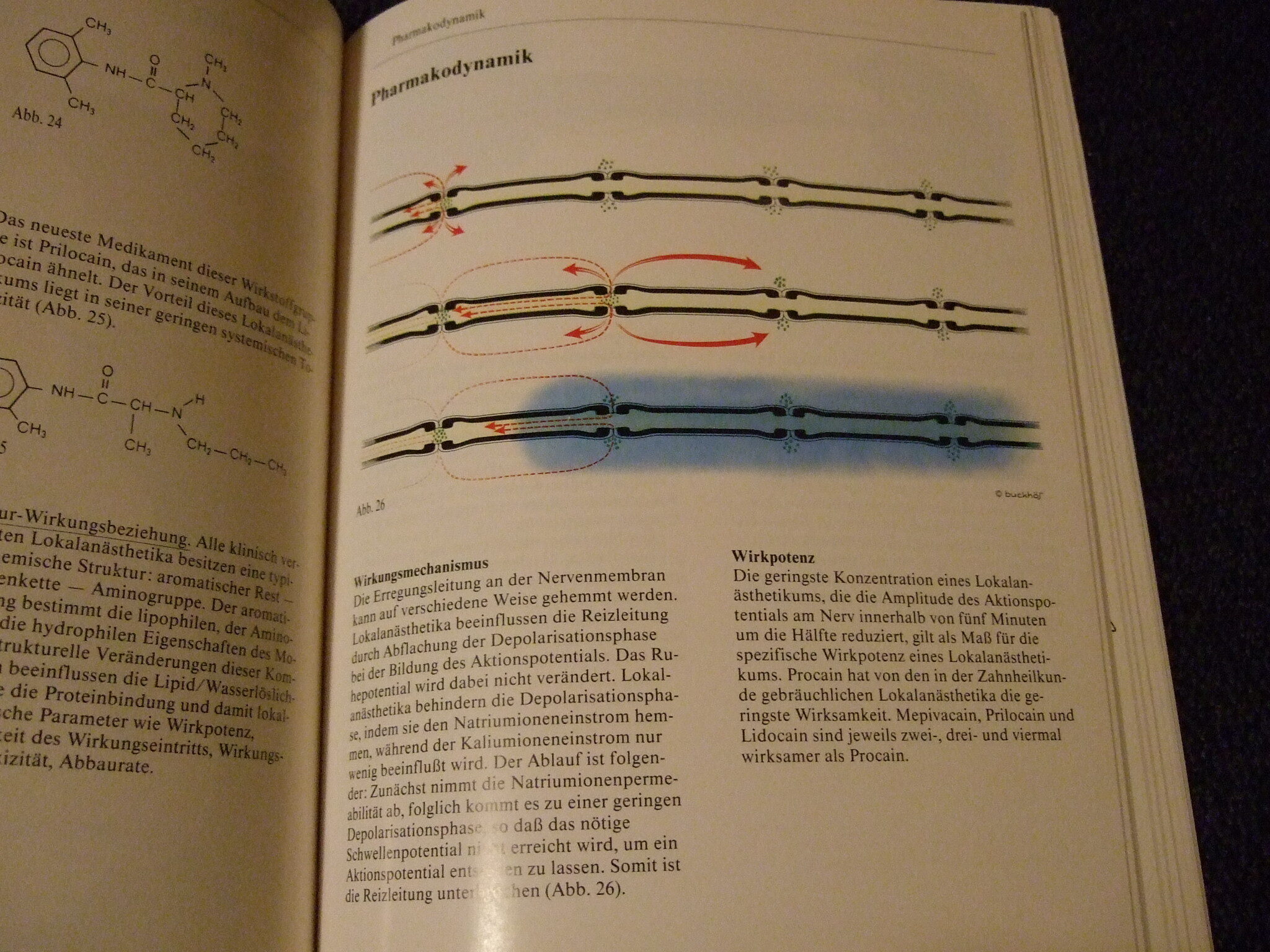 Zahnärztliche Lokalanästhesie   Lehr- und Nachschlagbroschüre | 338081