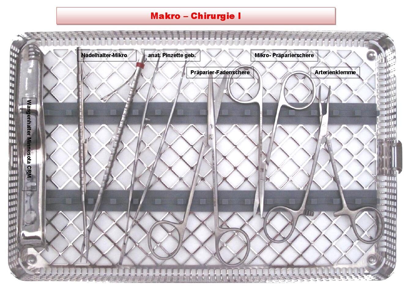 Makro-Chirurgie -Text | 339308